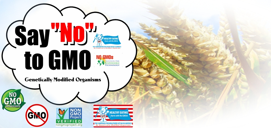 Say NO To GMO